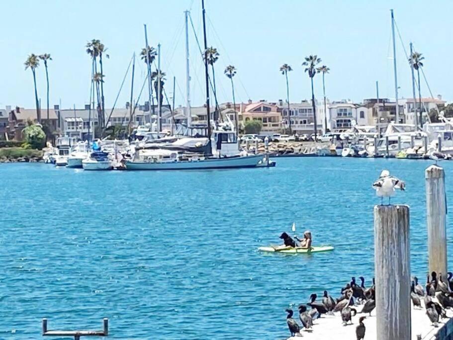 Gateway To Oxnard Beach Εξωτερικό φωτογραφία